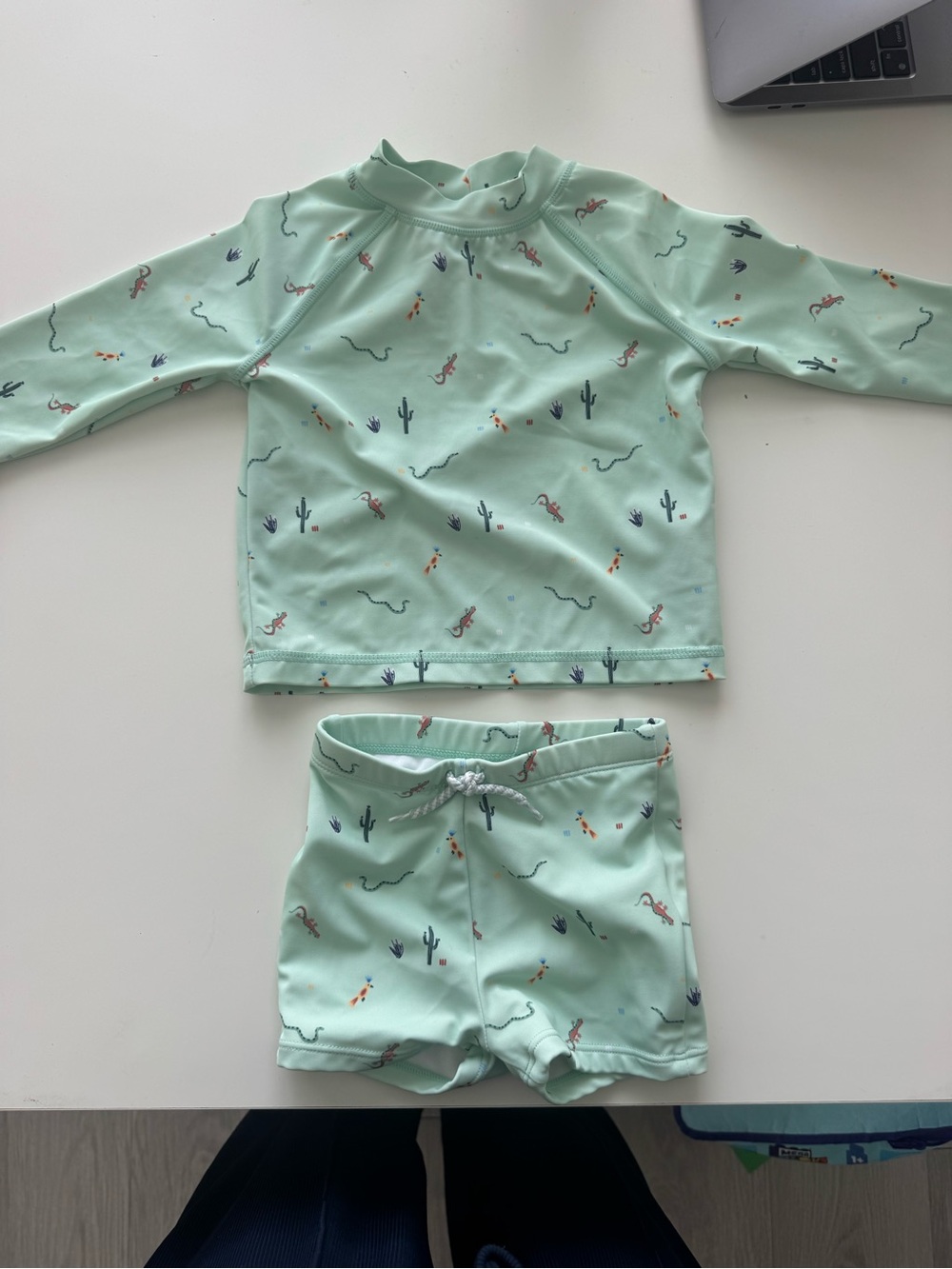 Janie and Jack Mint Green Long-Sleeve Rashguard Set with Desert Print